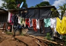 En Veracruz y 7 estados más del sur, donde más bajó la pobreza el sexenio anterior: BdeM