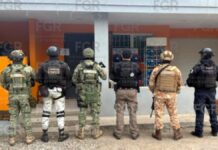 En cateos simultáneos, FGR asegura más de 50 mil litros de hidrocarburo y ocho vehículos en Isla y Pánuco, Veracruz