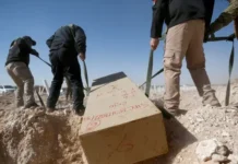 Incremento de homicidio culposo y feminicidios coloca a Veracruz en lugar 11 nacional en violencia letal