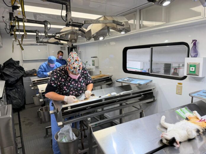 2493694d-a840-4630-804c-f9bf288cd345