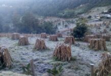 Bajas temperaturas; en Perote hasta menos 6 grados