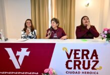 Protección animal en la ciudad de Veracruz: esfuerzo compartido entre sociedad y gobierno