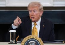 Es triste ver lo que ha pasado con México: Trump; insiste en que cárteles son los que gobiernan al país