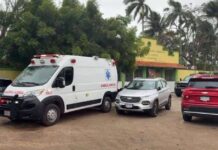 Perros Pitbull atacan a estudiantes en escuela de Minatitlán; hay siete lesionados