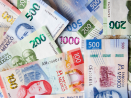 Registra gobierno federal subejercicio de más de 124 mil 377 mdp hasta noviembre de 2025