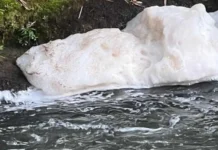 Contaminación en ríos de la zona centro de Veracruz deja sin agua a miles de familias