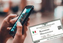 Comienza este viernes registro en el padrón de telefonía móvil