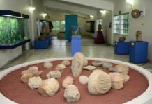 Abre Museo Regional de Palmillas sala que rescata la figura de Yanga, el libertador afrodescendiente