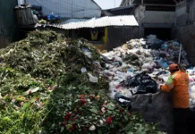 Desperdician al día en la CDMX 731 toneladas de alimentos: UAM