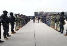 Entrega México a EU a 37 operadores criminales