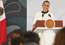 Disminuyen 54% los homicidios dolosos en el Estado de México, de septiembre de 2024 a diciembre de 2025: Sheinbaum