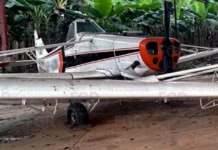 Asegura la FGR seis avionetas en presunta pista clandestina en Otatitlán