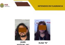 Cateos realizados con Fuerzas Federales y Estatales, permiten aseguramientos y detenciones