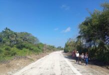 Nuevo camino artesanal en el estado de Veracruz