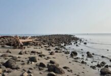 «Retiro del mar asociado a mareas vivas, fenómeno natural sin riesgo»: Protección Civil