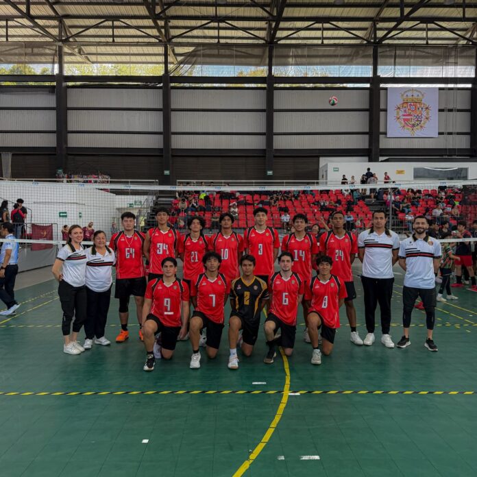 WhatsApp Image 2026-02-18 at 15.50.36