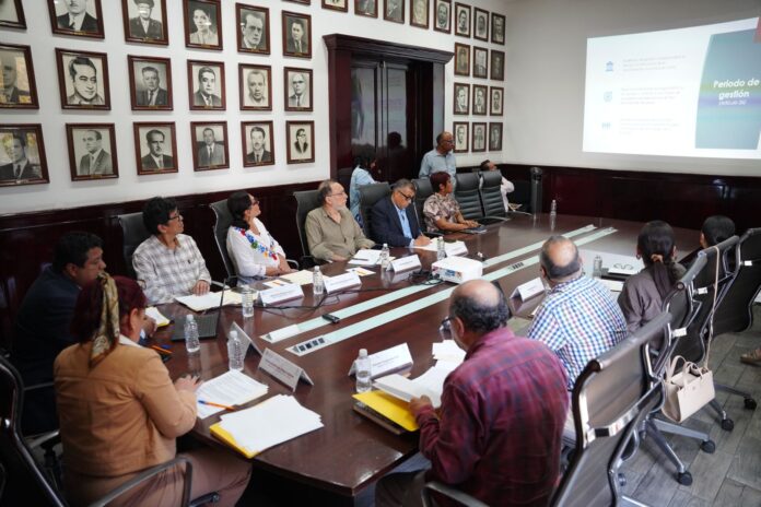 WhatsApp Image 2026-02-20 at 19.03.30