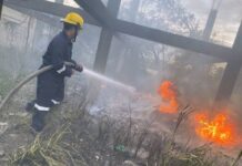 Atiende PC Municipal de Veracruz 15 servicios tras afectaciones por viento del norte