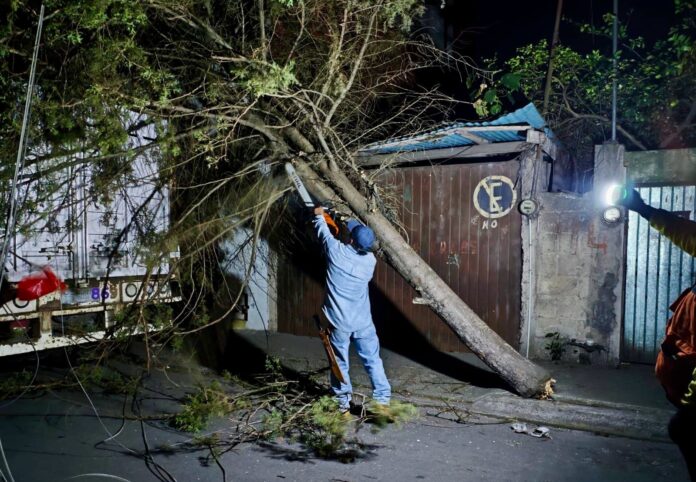 WhatsApp Image 2026-02-23 at 09.34.17