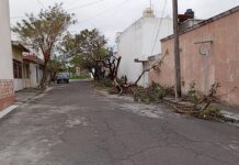 Reporta Ayuntamiento de Veracruz saldo blanco tras paso del Frente Frío 37