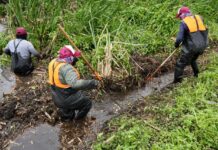 Mantiene Ayuntamiento de Veracruz programa preventivo de limpieza de canales