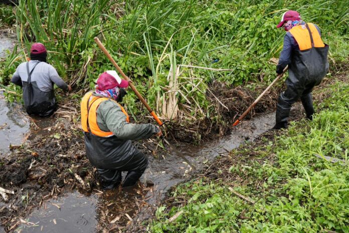 WhatsApp Image 2026-02-24 at 19.34.14 (1)