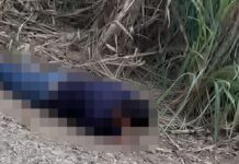 Dos hombres son ejecutados en la zona centro en menos de 48 horas