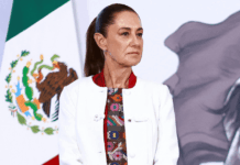 Colusión política impide a Claudia Sheinbaum enfrentar a cárteles: NYT