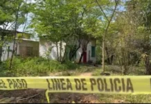 Reconocen hallazgo de fosa clandestina en Jáltipan; investigan posible presencia de más de cinco cuerpos