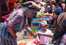 Solicitan en el Senado fortalecer legislación a favor de los derechos y el bienestar de comunidades indígenas