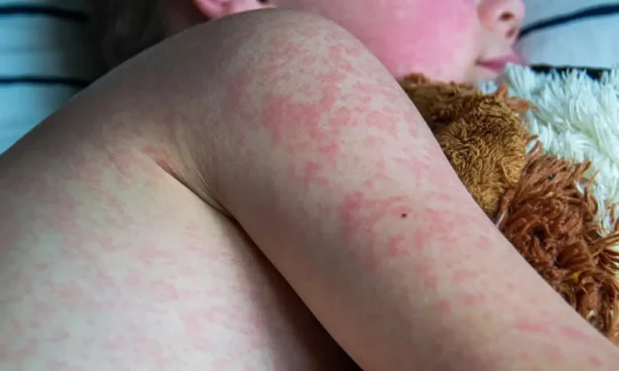 photo-2026-01-31-14-47-36-sHC40fpo1