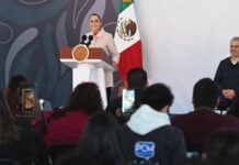 Estrategia Nacional de Seguridad y Plan Michoacán reducen en 30% los homicidios dolosos de octubre a diciembre de 2025 en dicha entidad