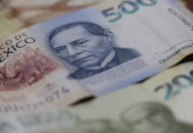 Cayeron las remesas en dos de cada tres estados; Veracruz registró un aumento de solo 0.5% anual