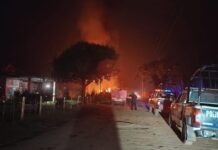 Asesinan a cortador de caña en Soconusco; investigan posible vínculo con quema de cosechadora