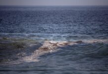Reportan ahora pescadores de Alvarado presencia de chapapote