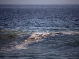 Reportan ahora pescadores de Alvarado presencia de chapapote