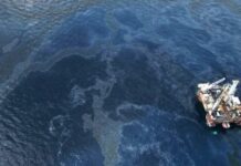 Revelan que derrame de hidrocarburo se habría iniciado en Campeche desde mediados de febrero