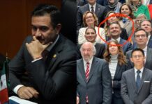 Justifica Morena la asistencia de Yunes Márquez a reunión de senadores en París