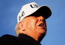No quiere CSP ir por narcos; nos guste o no, los cárteles son quienes gobiernan México: Trump