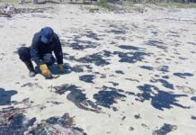 Pescadores acusan desinterés de presidenta y gobernadora ante presencia de hidrocarburo en el norte de Veracruz