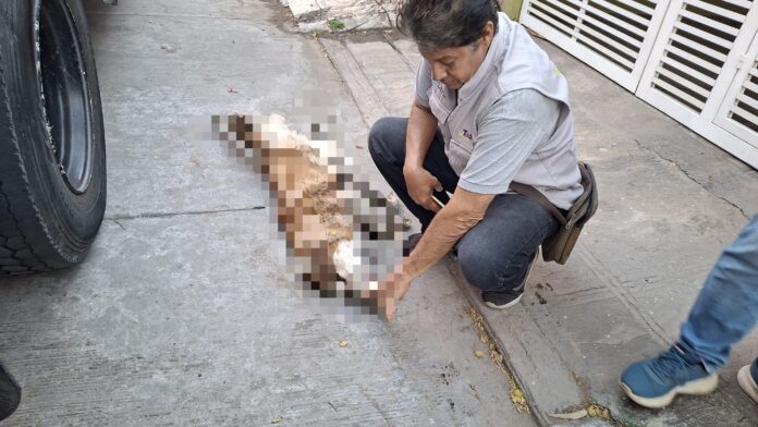 7d8809a7-0c34-4bb7-a55a-05f946d2f05d