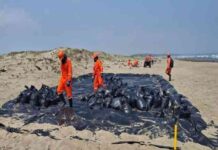 Apoya Pemex labores de limpieza en playas del sur de Veracruz en coordinación con comunidades locales