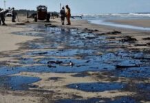 Afirman ambientalistas que el derrame de chapapote afecta 630 km de litoral del Golfo