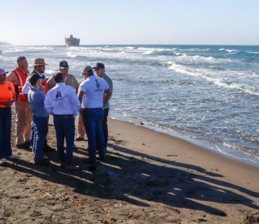 Coordinación interinstitucional para la supervisión de playas en Alvarado