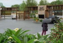 Bosque San Lucas, fraccionamiento residencial que rescata y preserva la memoria histórica de Coatepec