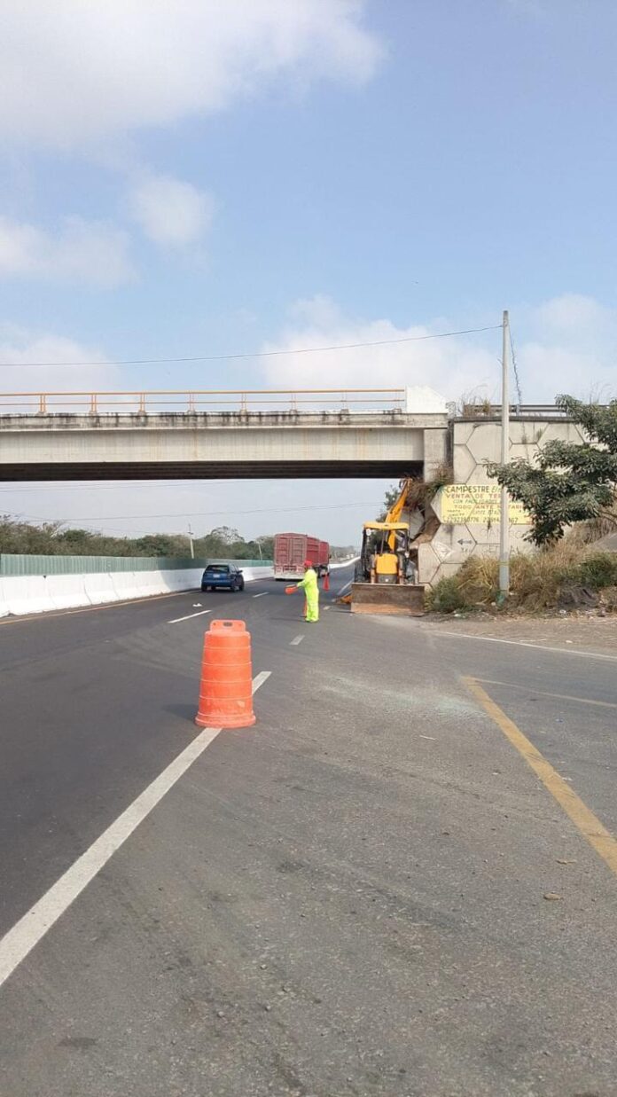 WhatsApp Image 2026-03-16 at 19.41.12