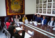 El IMMX fortalecerá la profesionalización de su personal en colaboración con la Sefiplan