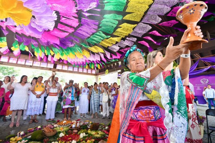 WhatsApp Image 2026-03-22 at 11.41.38