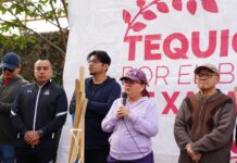 En el marco del Día Mundial del Agua, Ayuntamiento de Xalapa realiza Tequio en la Laguna de Casa Blanca