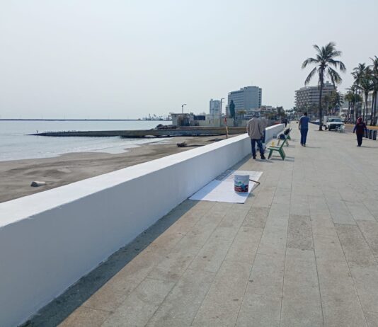 Embellece Ayuntamiento de Veracruz el bulevar Ávila Camacho